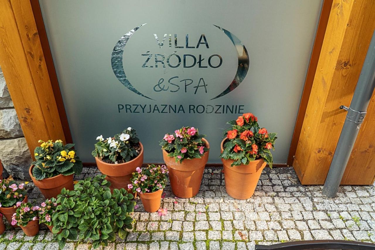 Villa Zrodlo & Spa Криница-Здруй Екстериор снимка